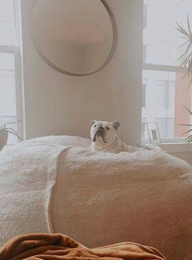 豆袋懒人沙发豆包人造毛皮海绵包亚马逊跨境热销5FT6FT7FT沙发源