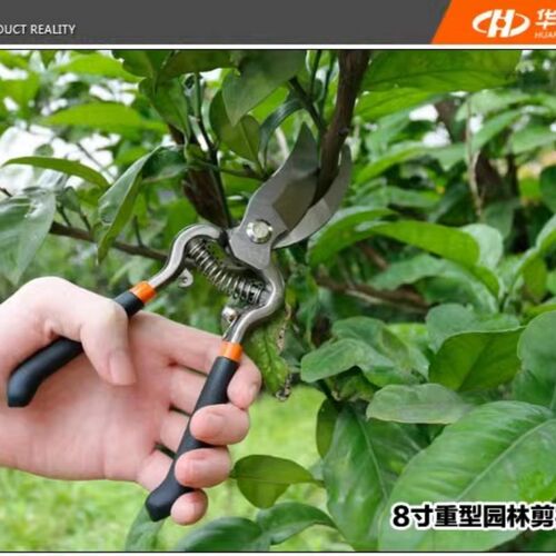 园林剪枝修枝剪刀盆景专用工具盆栽园艺制作叶芽剪水口钳花艺剪刀