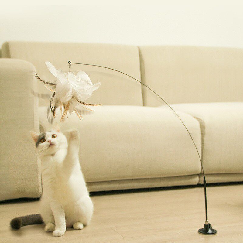 逗猫棒长杆吸盘自动猫玩具猫咪自嗨解闷带耐咬羽毛铃铛小鸟逗猫器