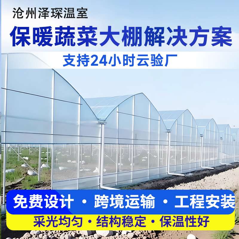 连栋温室薄膜大棚农业种植蔬菜养殖大棚遮阳遮阴棚连体温室大棚