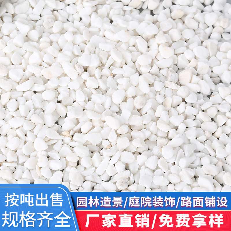 白色石子雪花白砾石水洗石头园林装饰庭院造景铺路透水材料鹅卵石