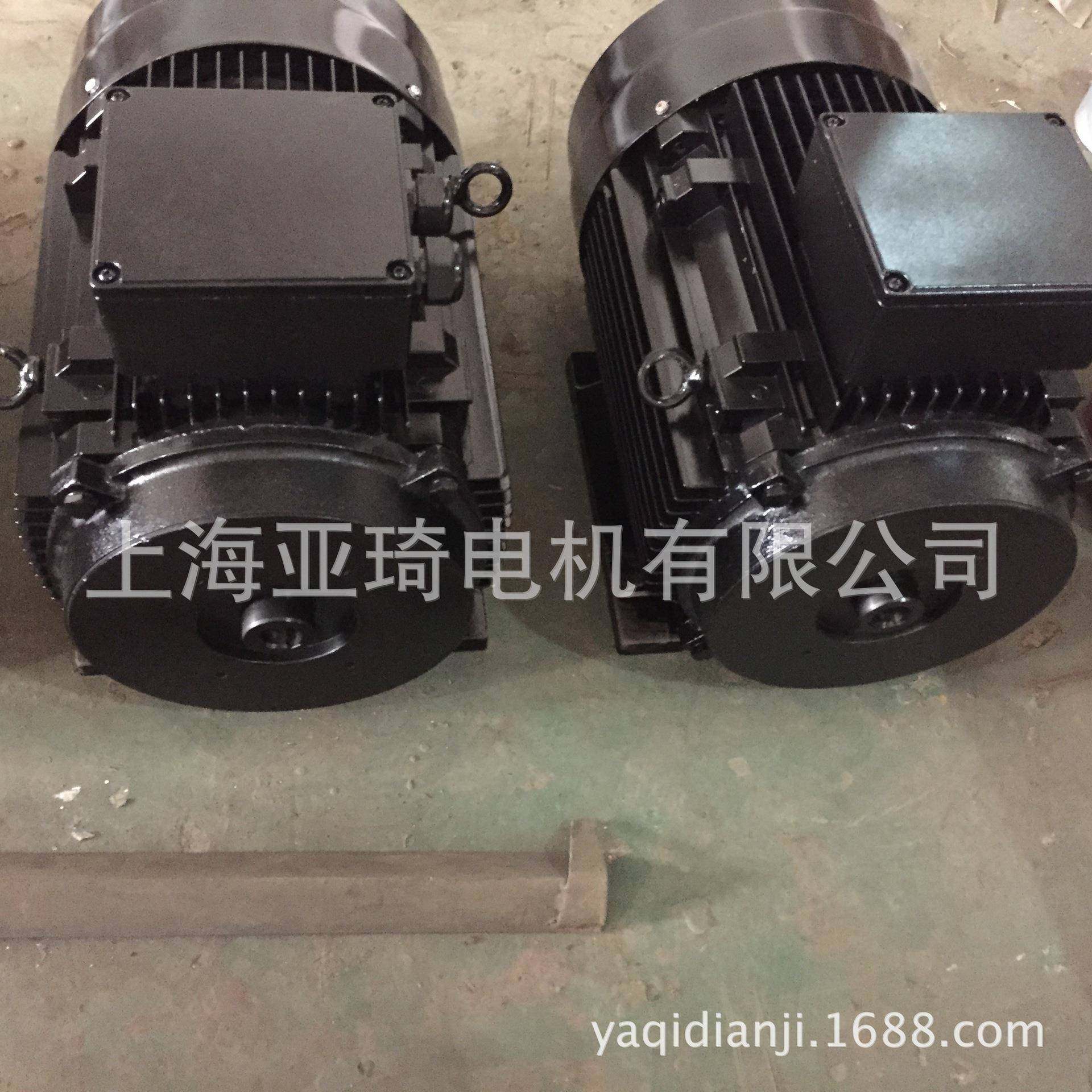 上海沪迪电机有限公司 三相异步电动机