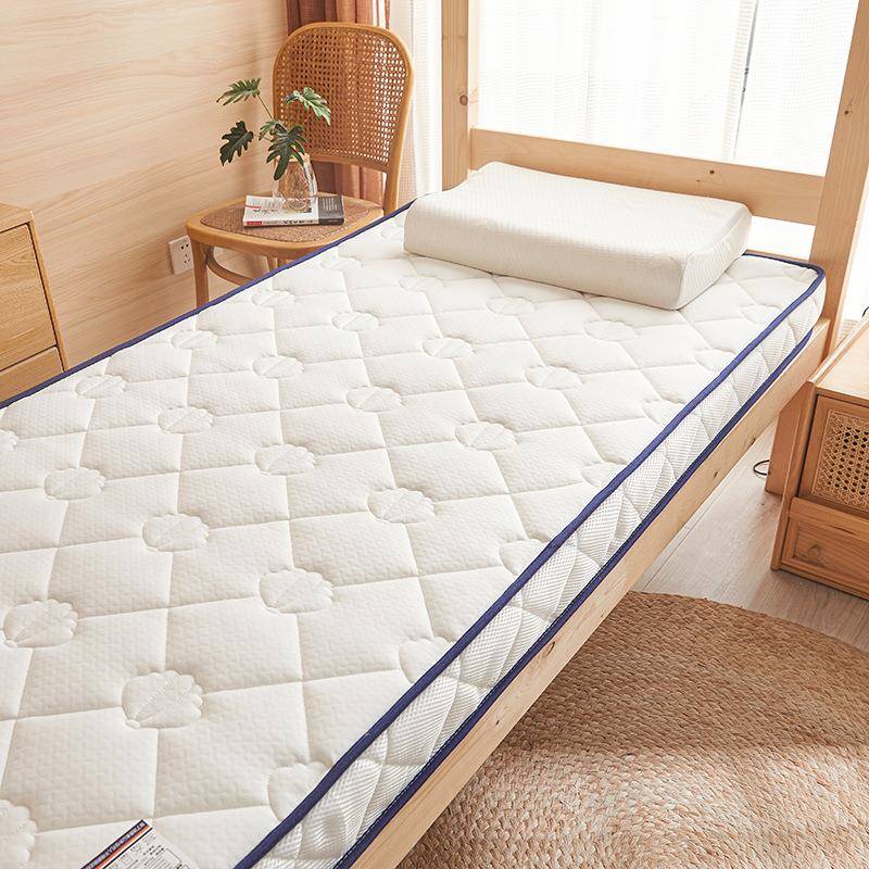 乳胶床垫加厚海绵垫子家用租房榻榻米记忆棉软垫单人学生宿舍