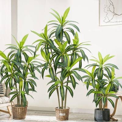 高端轻奢仿真绿植巴西木盆栽仿生落地盆景假绿植装饰仿真室内摆件