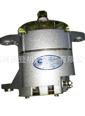 24V 35A发电机4060811 4913675 3016627用于康明斯