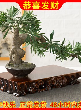 可挖槽实木底座盆景泰山石头古玩笔长方形纯手工根雕摆件木托架子