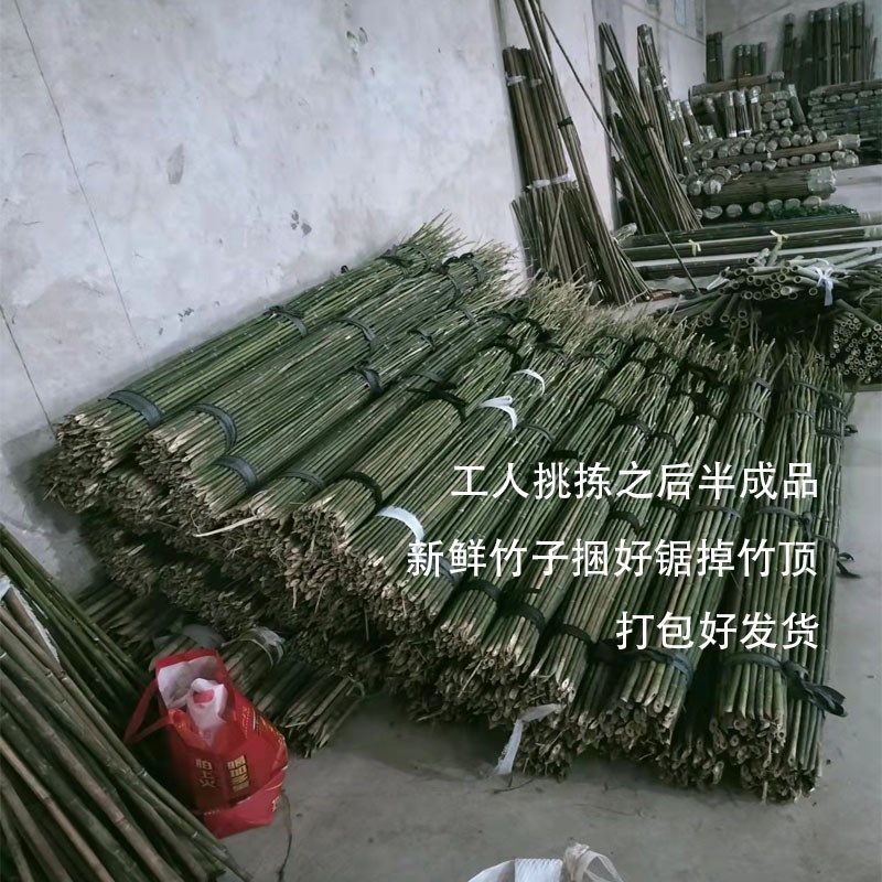 竹竿菜园搭架豆角黄瓜番茄爬藤蔬菜大棚支架彩旗2米3米竹子支撑杆