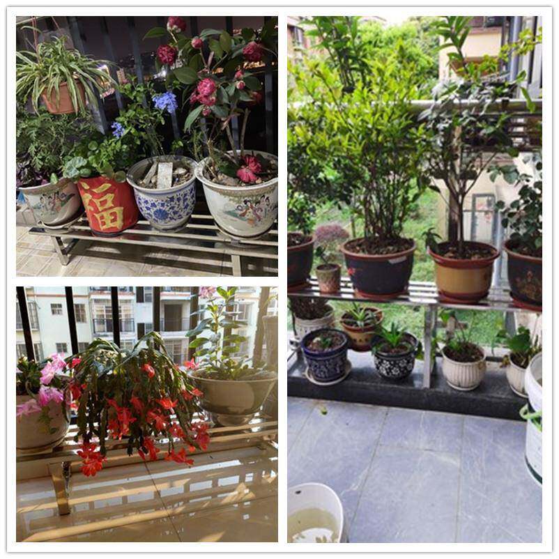 不锈钢阳台花架铁艺阶MML梯花落地式单层客厅置物户多绿外肉萝盆