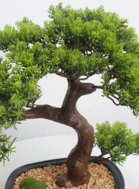 仿IPQ真绿植室内饰造装假树小型新中仿真迎景客松树罗式汉松盆栽