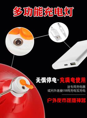 电充式生灯充电款灯夜市摆摊F76HT65H熟食灯鲜卤菜卤肉灯泡暖光水