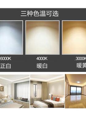 24V压裸板le低d灯带自粘贴灯槽240珠1V灯条2线形软24-240-1高亮带