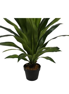 东水莞企石仿真植物室内装饰防易清洁发财真树仿仿VFC真富贵叶