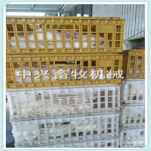 加大装鹅筐 31高鹅运输笼 塑料鸡筐周转笼