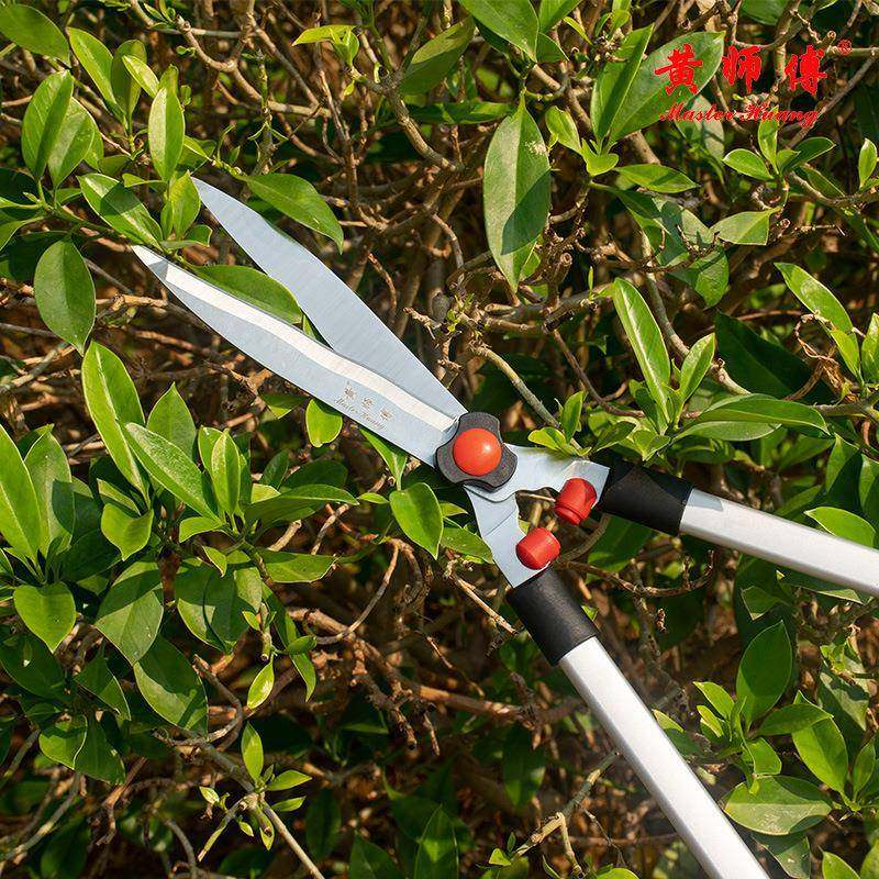 黄傅篱草坪剪直形伸缩剪锰钢绿篱剪152A1花草修枝剪园艺园师林笆