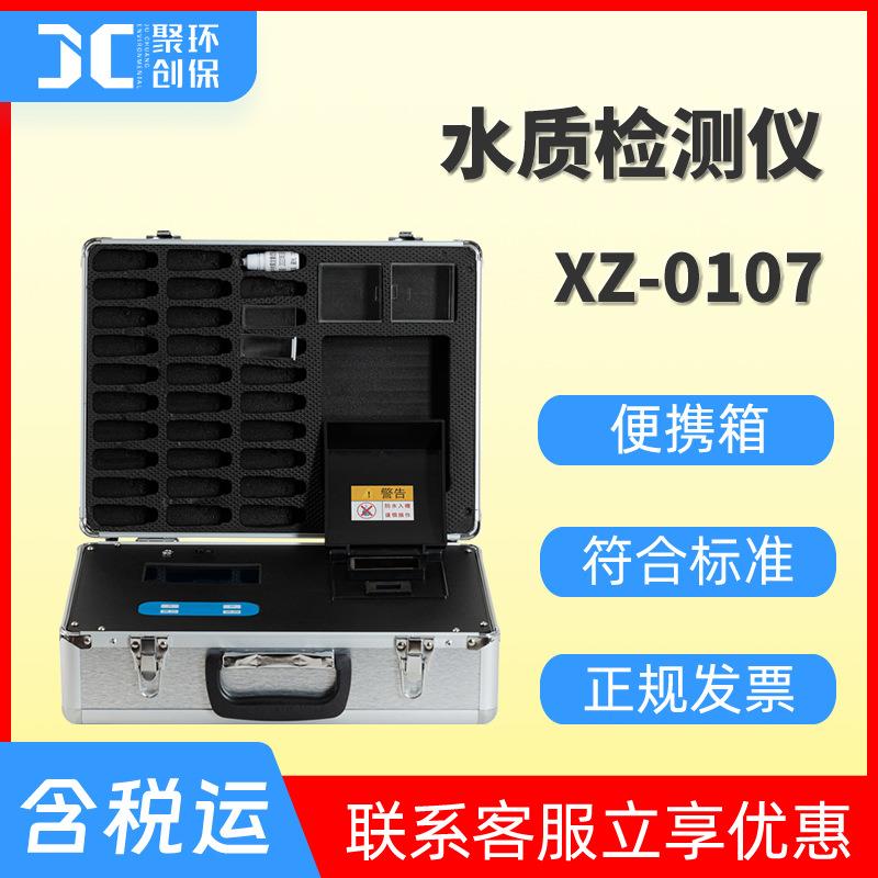 XZ-0107 饮用水余氯二氧化氯PH检测仪多参数水质分析仪污水测定仪