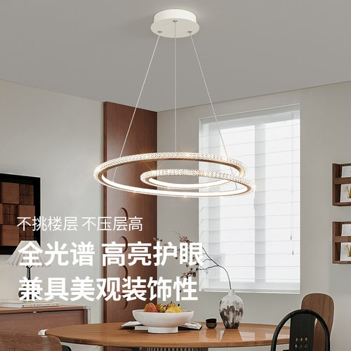 简约现代轻奢圆环餐厅灯设计师家用护眼餐桌灯艺术餐厅吧台吊灯