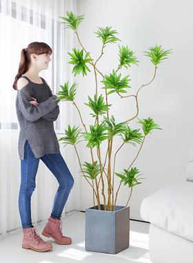 Z仿假花仿真绿植竹落地生784植物室高档轻奢内假盆栽花摆件百合盆