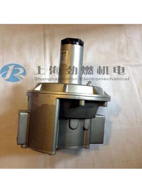 RG032-FT-1B意大利GE,CARG040-T-1B,RGD3-FT-1BRG032-FTRGFD240-F