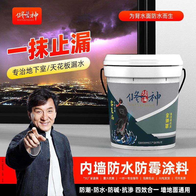 地下室内墙面防潮防霉材料背水面负压防水涂料地面抗渗返碱补漏胶