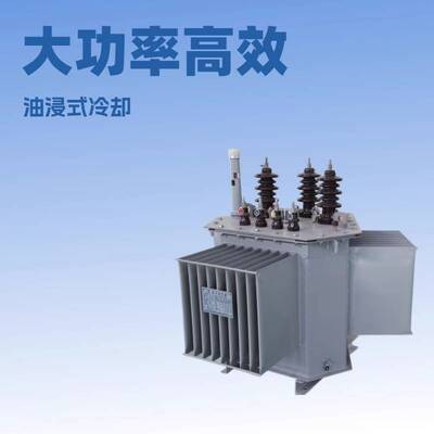 生产50kva100kva160kva电力变压器15KV33KV油浸式变压器