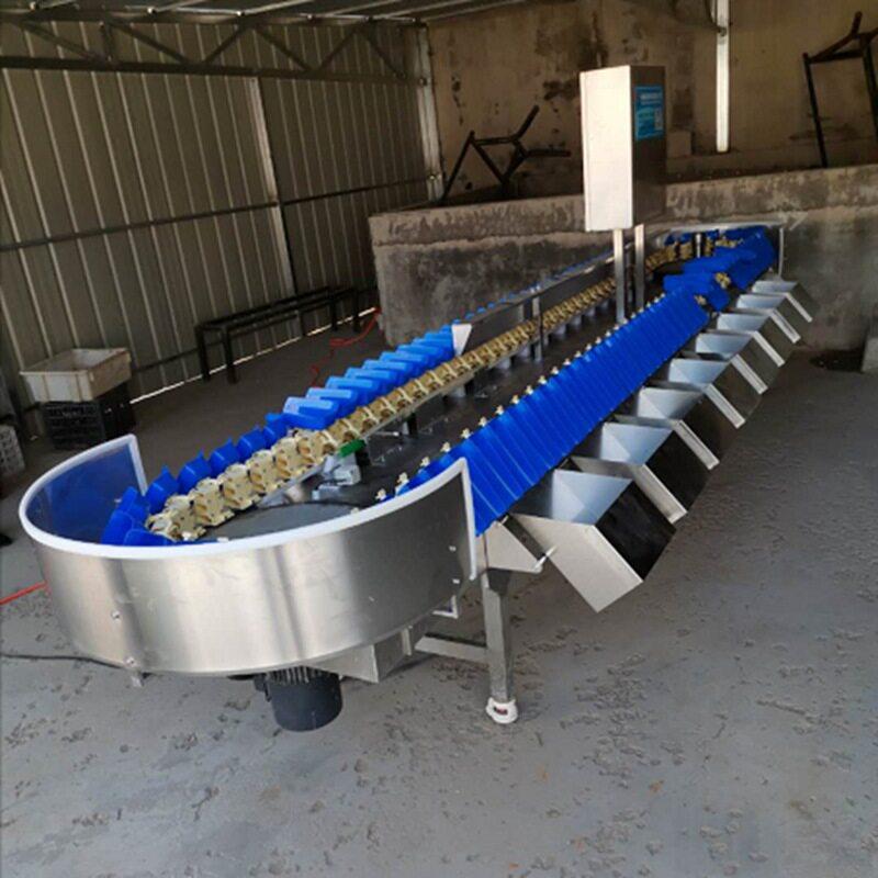 鸡腿鸡翅全自动量分拣机FOJ牛重精排称重分级机准称重多级分选