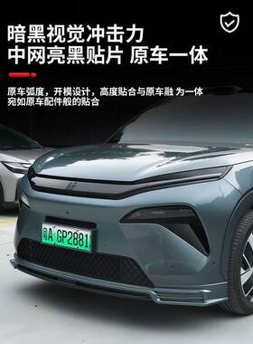 比亚迪唐L正面黑色装饰条网格汽车标志抗刮擦Hdmi/P装饰贴纸修改