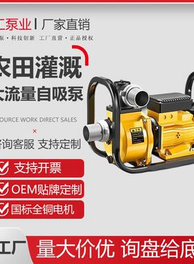 农田灌溉大流量自吸泵DSU电动抽水机220V大功率380V高扬程抽水泵