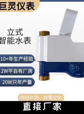 立式远传水表 RS485/MBus输出nbiot/LoRa无线远传均可 上进水下出