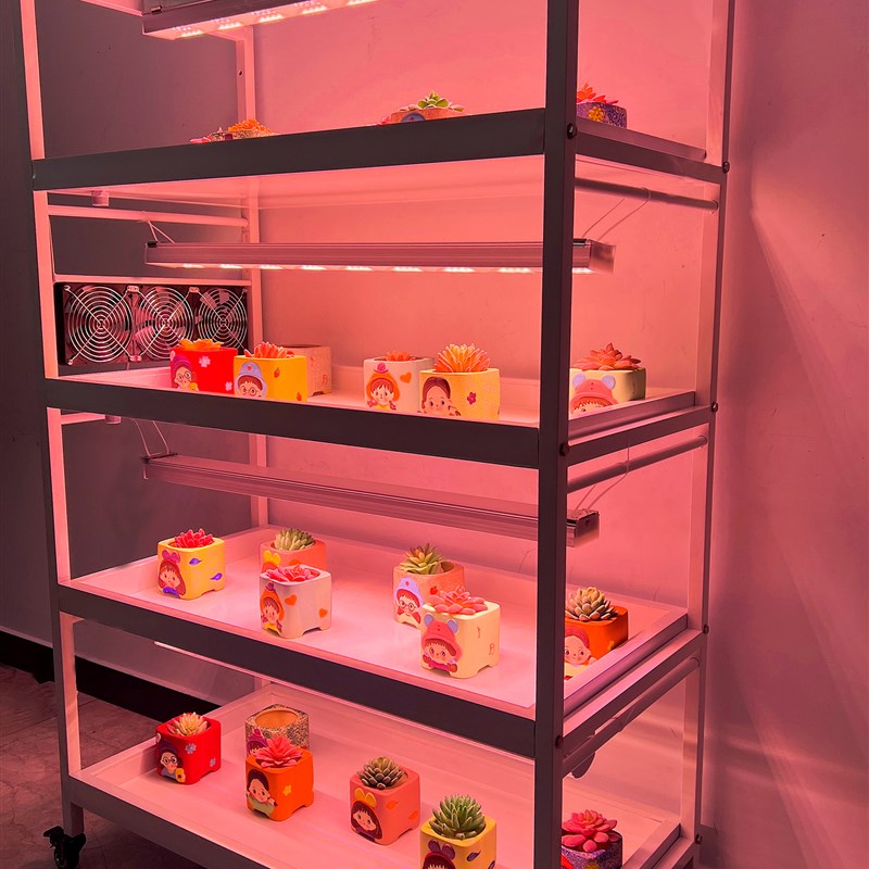 多肉植物浸盆花架冰玉水槽托盘接水盘室内阳台水培多层落地不锈钢