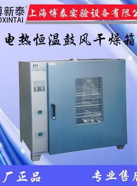 厂家促销电热恒温干燥箱GZX-DH.202-AO-BS烘箱