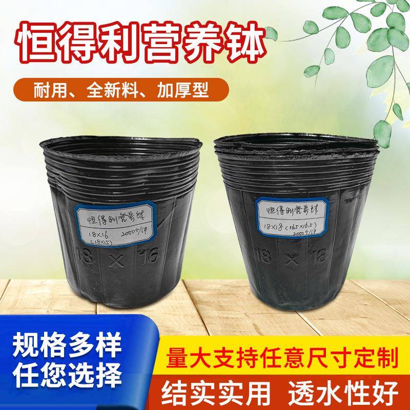 恒得利加厚型营养钵园林种植营养盆 塑料简易营养杯花卉袋