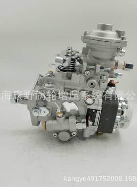 VE喷油泵 0460426345 87802534和104748-0225 R23013800B