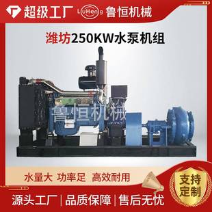 抽水用发电机250KW低油耗四保护系统250千瓦潍坊动力水泵机组