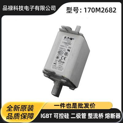 170M7666 170M7671 170M7676 170M7978原盒陶瓷熔断器 保险丝