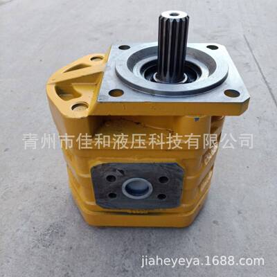 装载机齿轮泵 厦工XG951工作泵 J3160A 厦工配件油泵 效率高