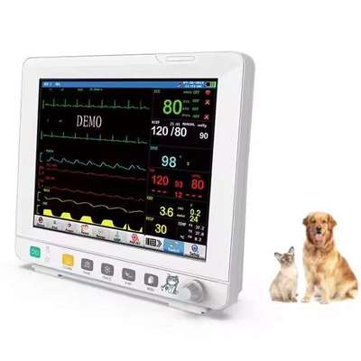 Animal 12 Inch 6 Parameters Veterinary Patient Monitor ECG