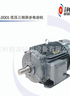 贝得电机 11KW 4P B3 4极 卧式安装 1TL0001-1DB23-3AA5-Z W08