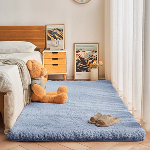 新款卧室床边地毯加厚毛绒宿舍地冬季垫定制榻榻米客厅窗垫飘房间