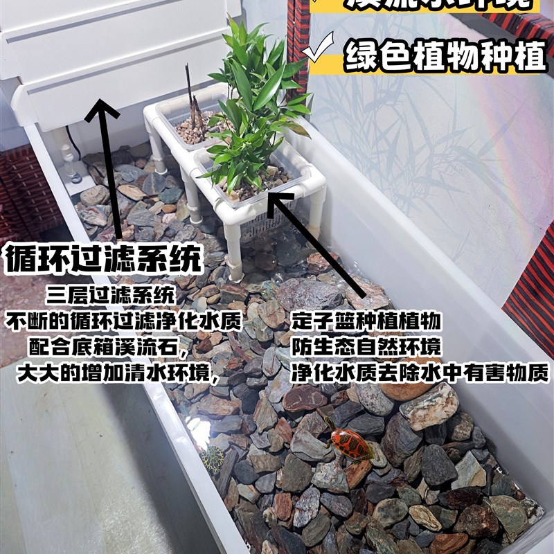 生态龟箱循环过滤龟箱免换水反生态溪箱小型龟箱家庭植物园林绿化