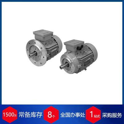 供应意大利BEA Ingranaggi三相异步电机T3A