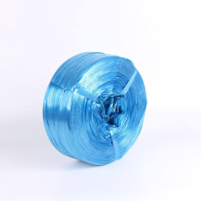 冰禹工业塑料捆扎绳塑料打包带扎打包丝线绳B4cm2.5KG/蓝色绳扎卷