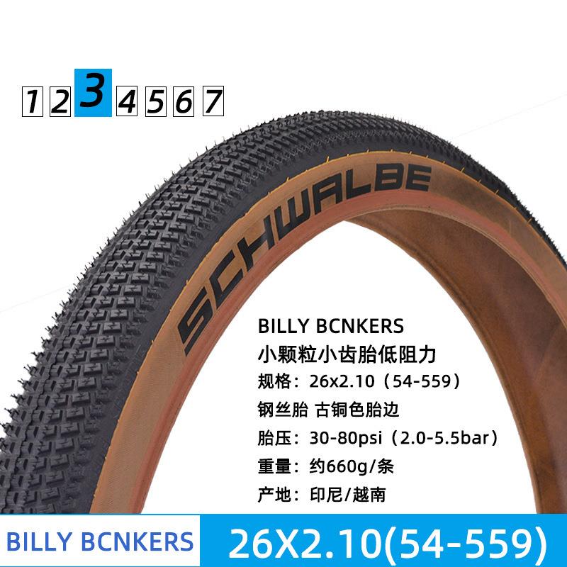 SCHWLALBE世文自行车轮胎街土坡车车外胎26寸BM轮胎HXWBILYBONKXE