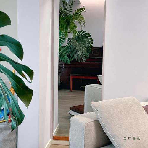 古穿衣镜家用客厅全身镜卧室落立式贴墙镜壁地挂服985中装店试衣