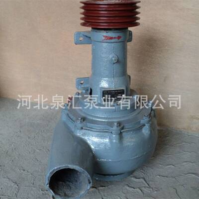 80NSL-35型吸沙泵 立式搅匀式吸沙泵 抽沙清淤泵 耐磨立式污水泵