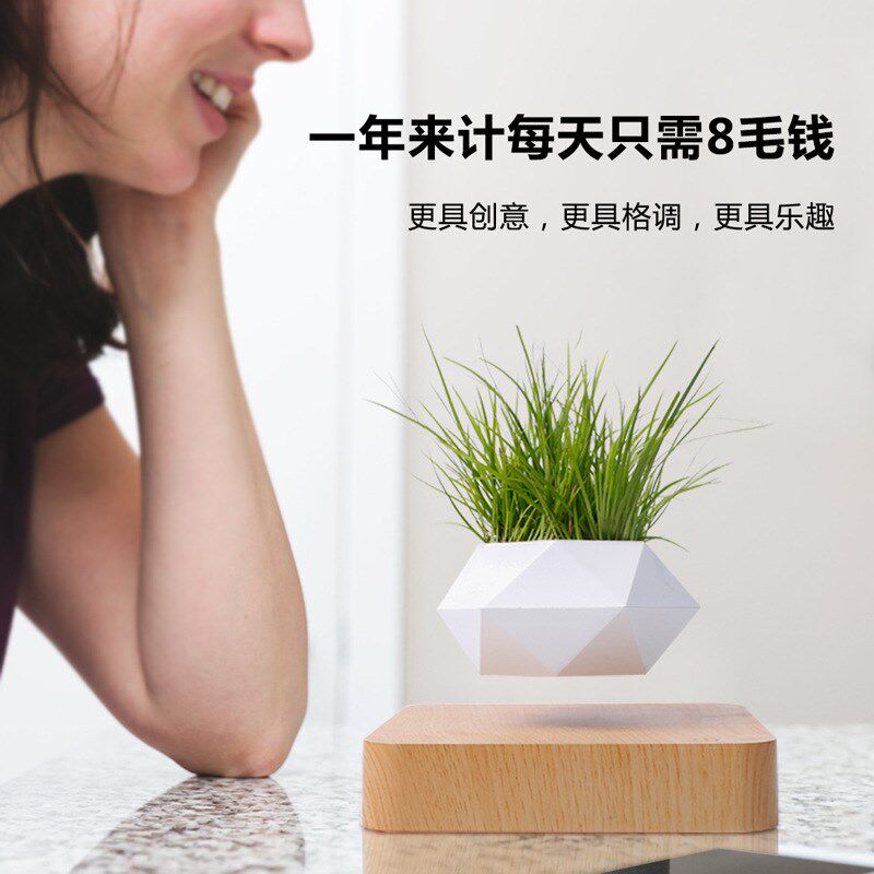 磁悬浮盆栽植物盆景客厅家居摆件网红创意工艺品乔迁新居礼物