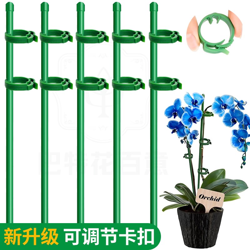 植物支撑杆花架朱顶红防倒伏支架园艺吊兰月季番茄架子绿植爬藤架