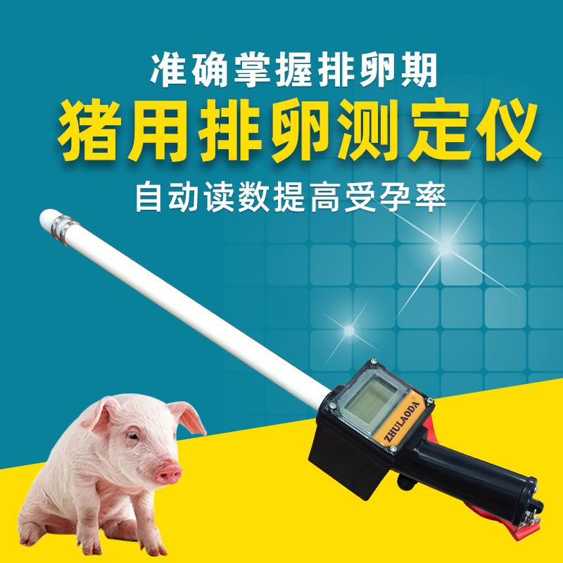 兽用母猪用排卵检测仪排卵仪狗牛用排卵测定仪狗测卵仪猪犬用设备