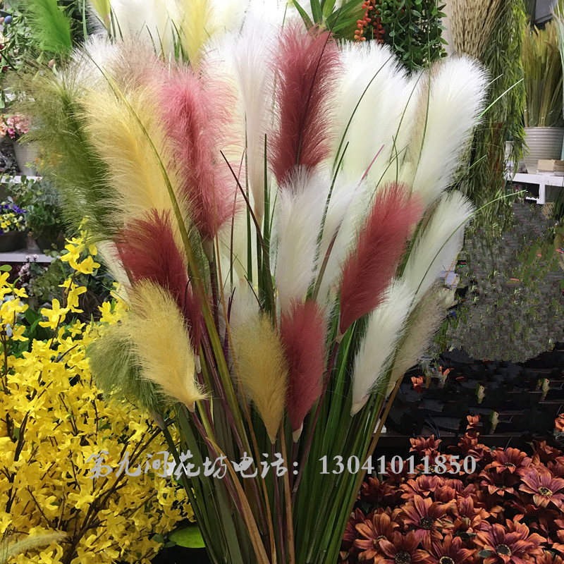 长枝仿真芦苇干花干草田园单支白色花卉五谷杂粮客厅橱窗落地装饰