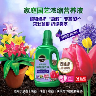 美乐棵朱顶红种球水仙专用营养液阿弗雷鬼魅安吉拉肥料养花球根花