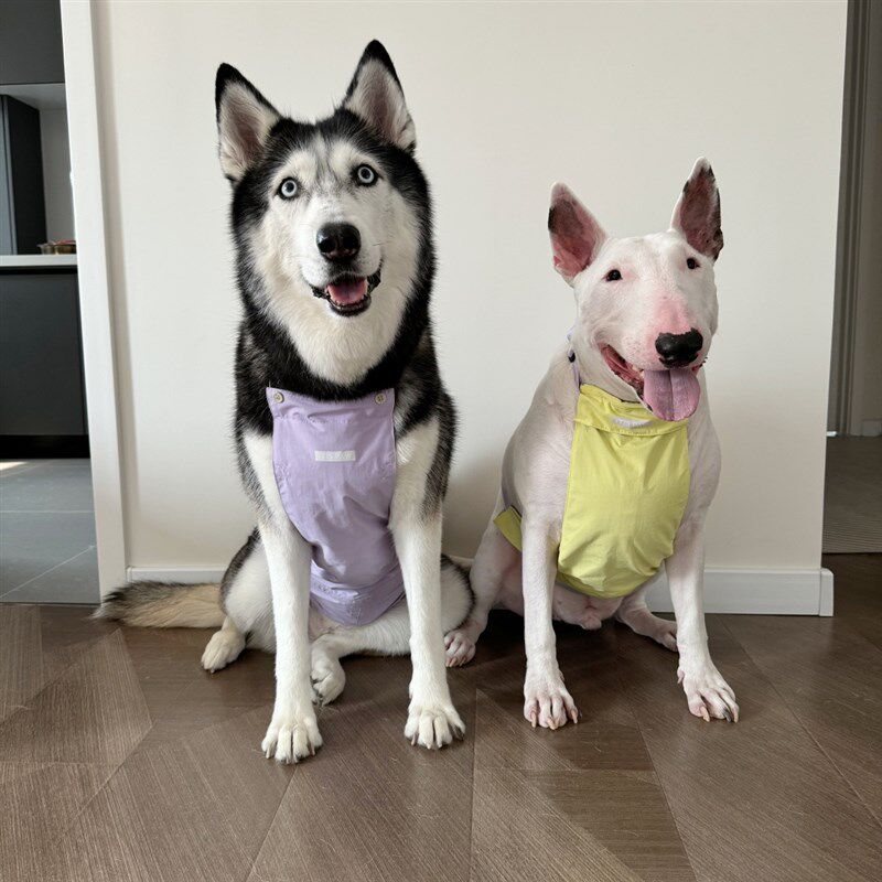 宠物狗猫小中大型犬防水肚兜外出户外肚子防脏服可调节长短通用